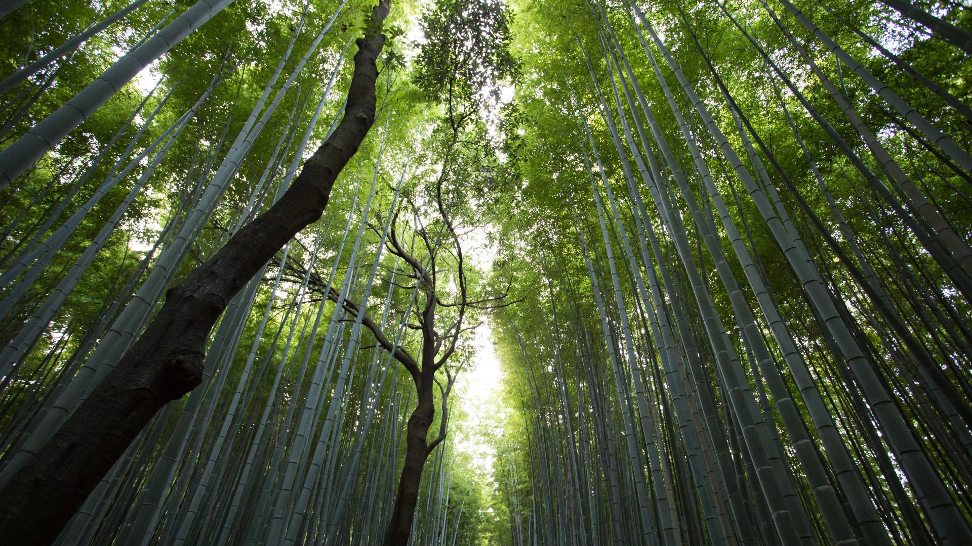 Sustainable Fashion Choices That Never Go Out of Style